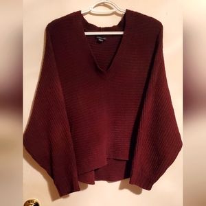 American Eagle Cropped Sweater